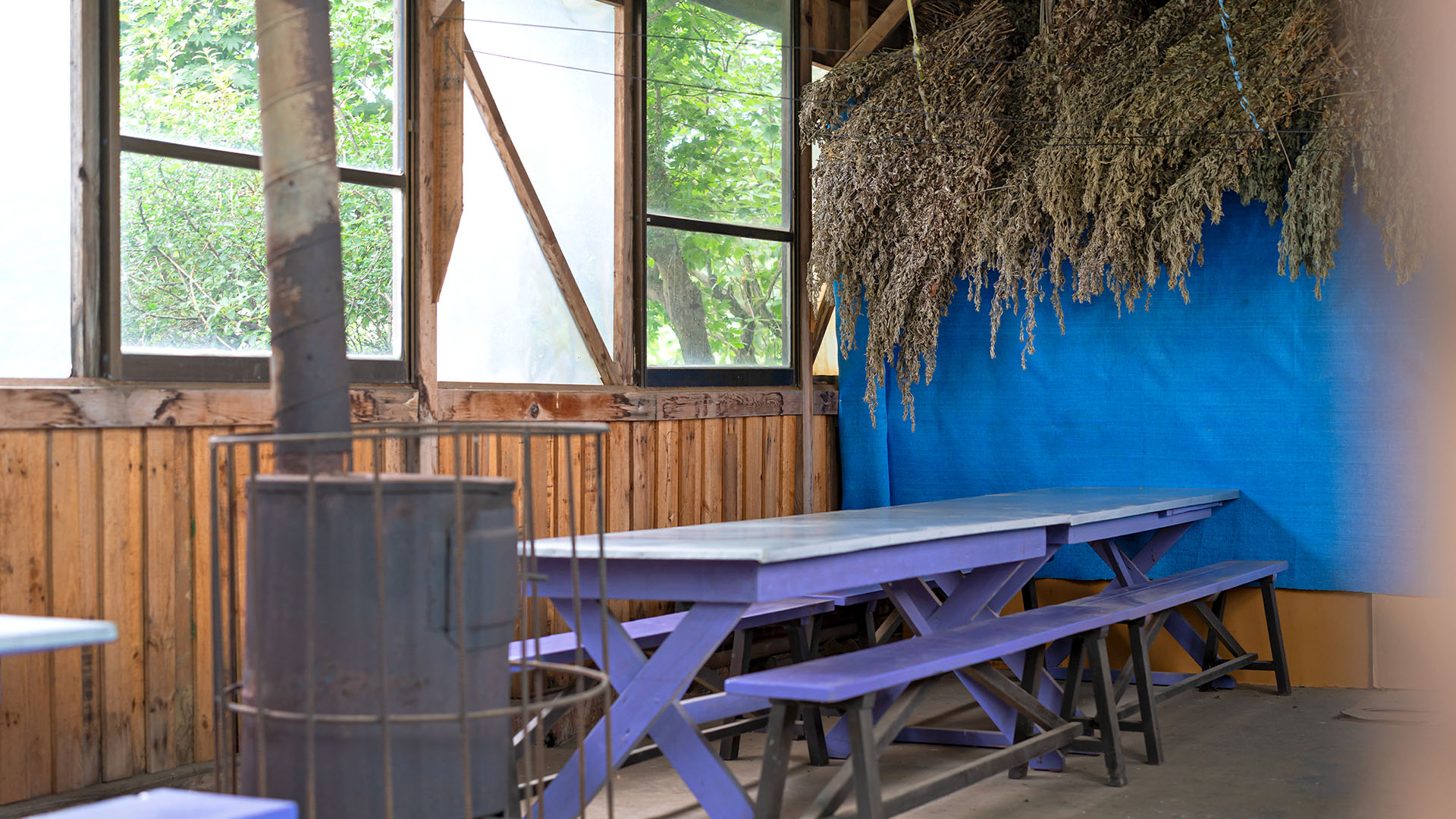 슬라이드 이미지11